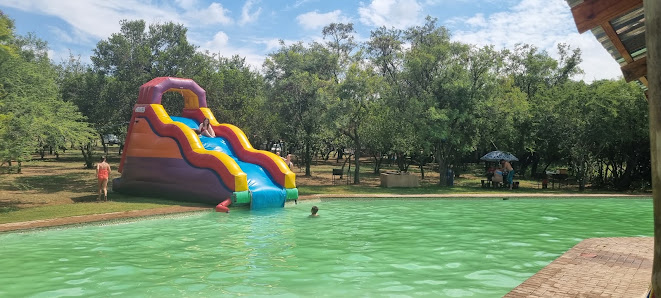 Inflatable rainbow slide into a green pool, with picnic tables under trees