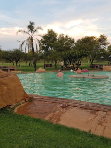 People swimming at sunset in a pool with a rock feature and trees beyond