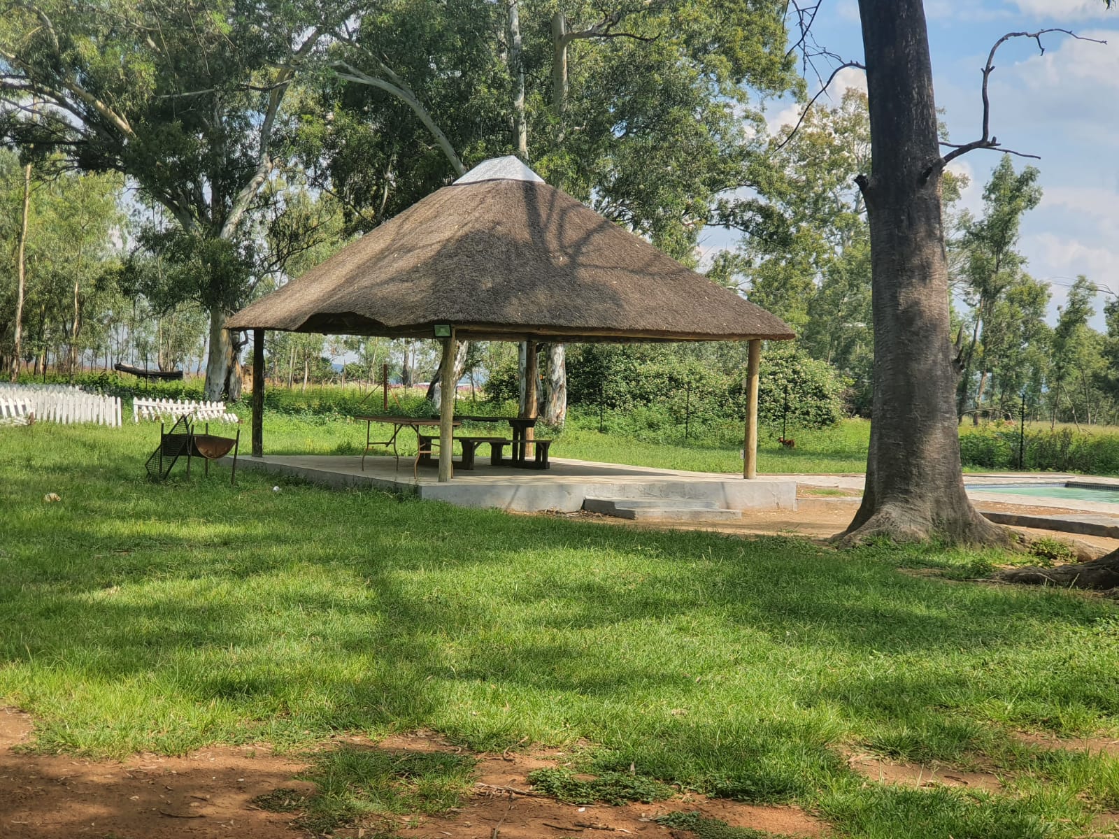 Thatched lapa with picnic tables on a shaded lawn beside the pool